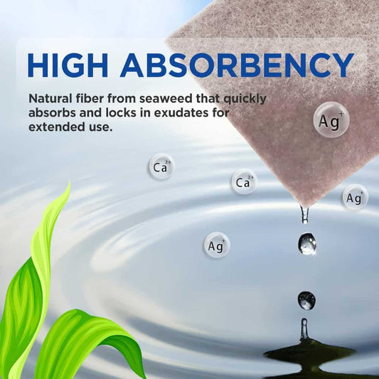 Ceeport Ag Silver Calcium Alginate Wound Dressing Pads 4''x4'' Patches