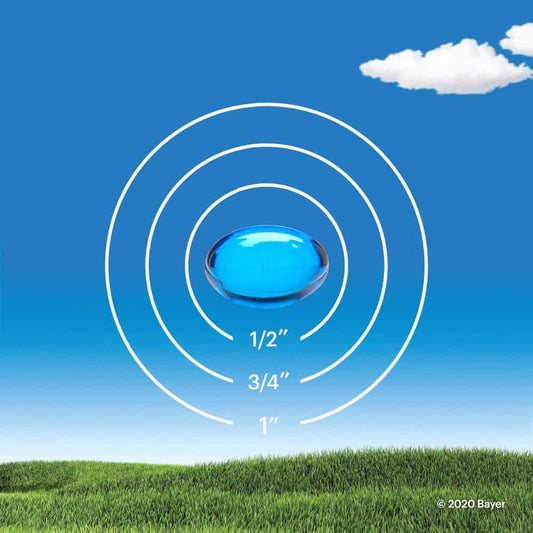Claritin Non-Drowsy Liquid Capsules - 24's