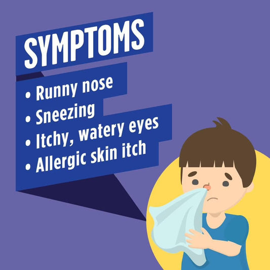 Children's Fast Melt 24 Hour Allergy Relief 10 mg