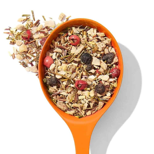 DAVIDsTEA Rooibos Tea - Super Ginger - 12's