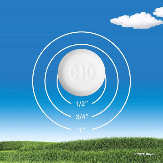 Claritin Rapid Dissolve Allergy Medicine, 24-Hour Non-Drowsy Relief 10 mg, 10 Tablets