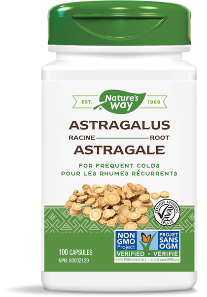 Nature's Way: Astragalus Root