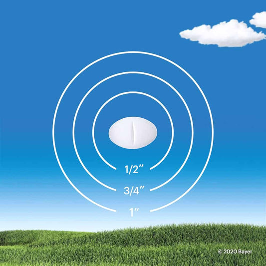 Claritin Allergy Medicine, 24-Hour Non-Drowsy Relief 10 mg, Value Pack, 85 Tablets