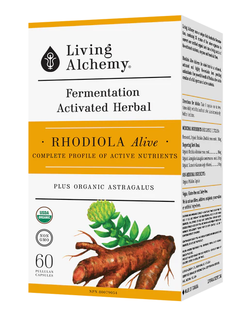 Living Alchemy: Rhodiola Alive
