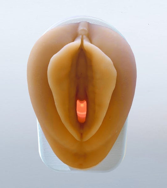 Vulva Model with Vaginal Canal