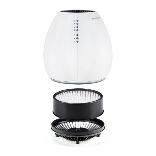 pet dander air purifier