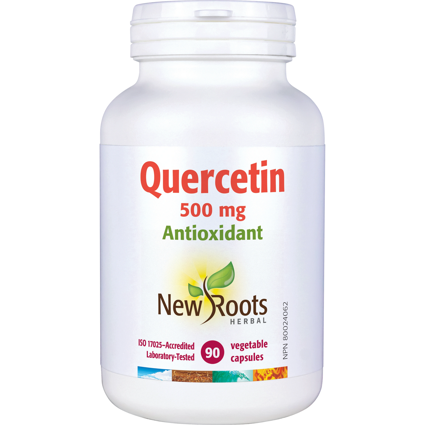 New Roots: Quercetin