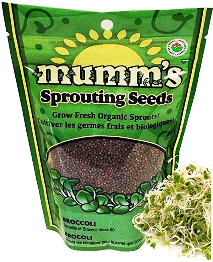 Mumm's: Broccoli Sprouting Seeds – Safe Care Store Canada