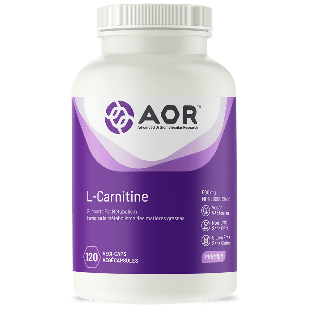 AOR: L-Carnitine