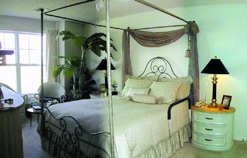 Cs/10 Adjustable Bedside Assistant***Special Order***
