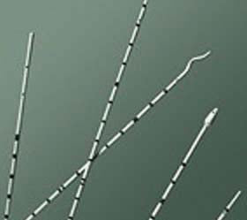 Bx/10 Ureteral Catheter W/Stylet-Heyman,Spiral Tip 2-Side Eyes,4Fr X 70Cm
