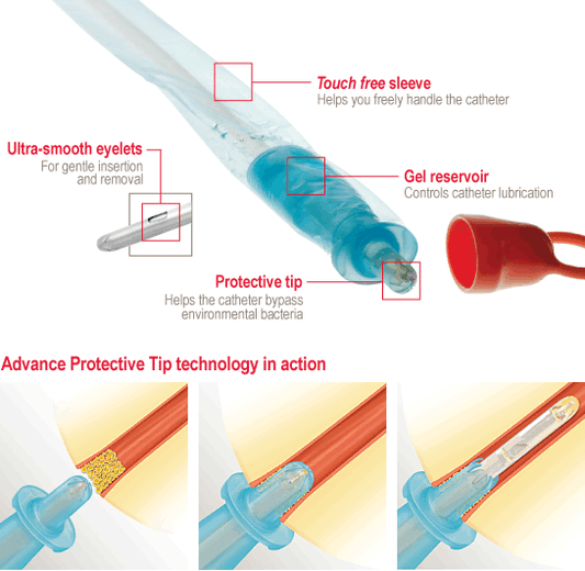 Bx/30 Touch Free Advance Ic Intermittent Coude Catheter W/ Intro Tip, Size 16Fr 16In