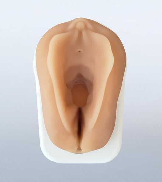 Obstetrics Anal Sphincter Injury Model (Per Each)