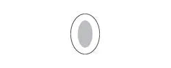 Bx/20 Polymem Shapes, Oval Silver Dressing, Size 3.