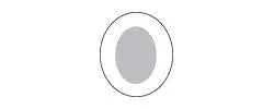 Bx/10 Polymem Shapes, Oval Silver Dressing, Size 8.