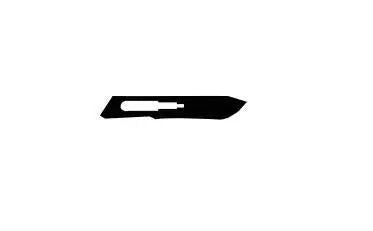 Bx/10 Scalpel Personna Safe Size 10
