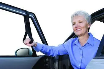 Carcaddie, To Assist Getting In And Out Of Vehicle, Weight Cap 250lbs (Non-Returnable) - Ea/1