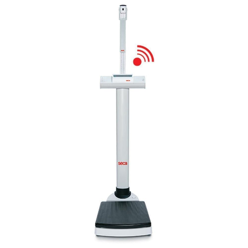 Seca 703 High Capacity Column Scale