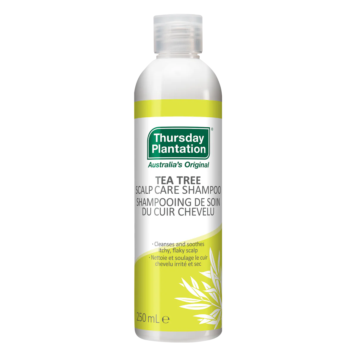 Thursday Plantation: Tea Tree Shampoo & Conditioner