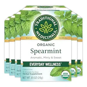 Traditional Medicinals Organic Spearmint Tea Bags - 16's