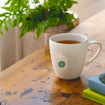 Traditional Medicinals Mother’s Milk Tea