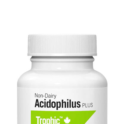 aids lactose digestion and skin health