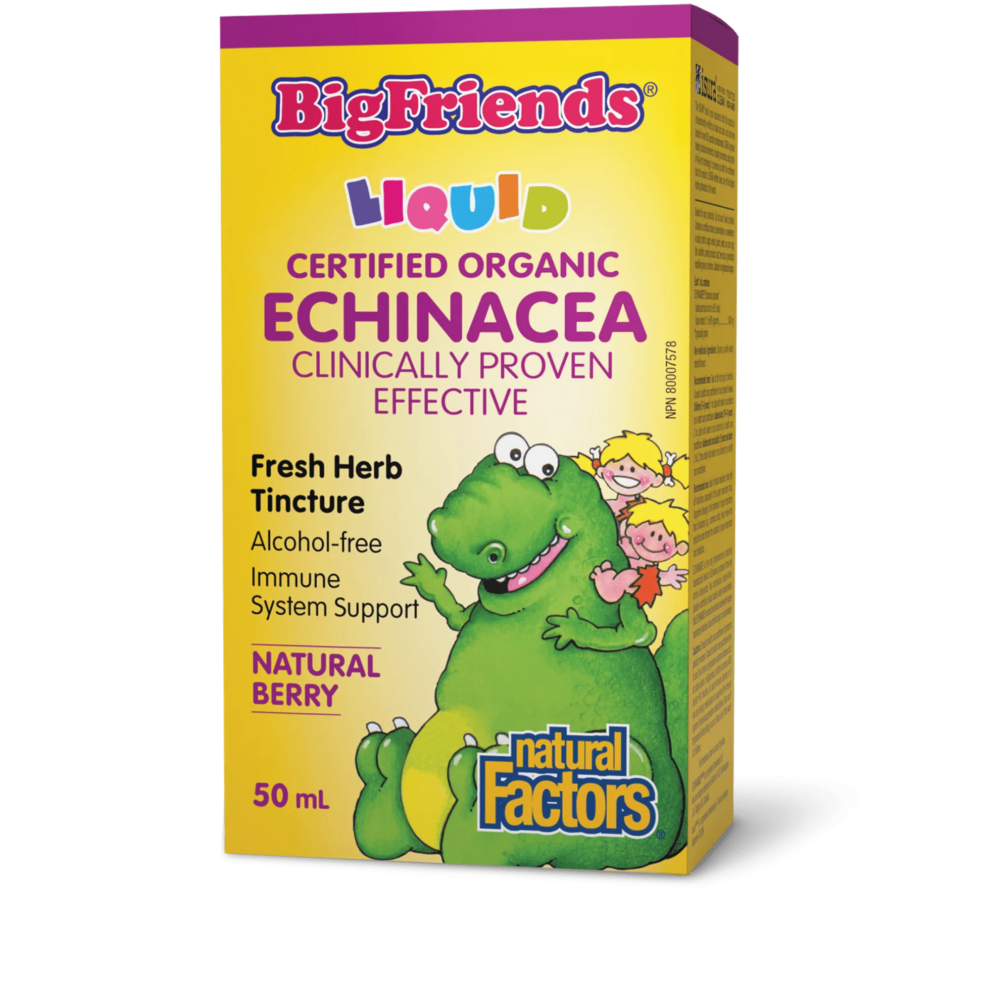 Natural Factors: Big Friends Echinacea Alcohol-Free Fresh Herb Tincture for Kids